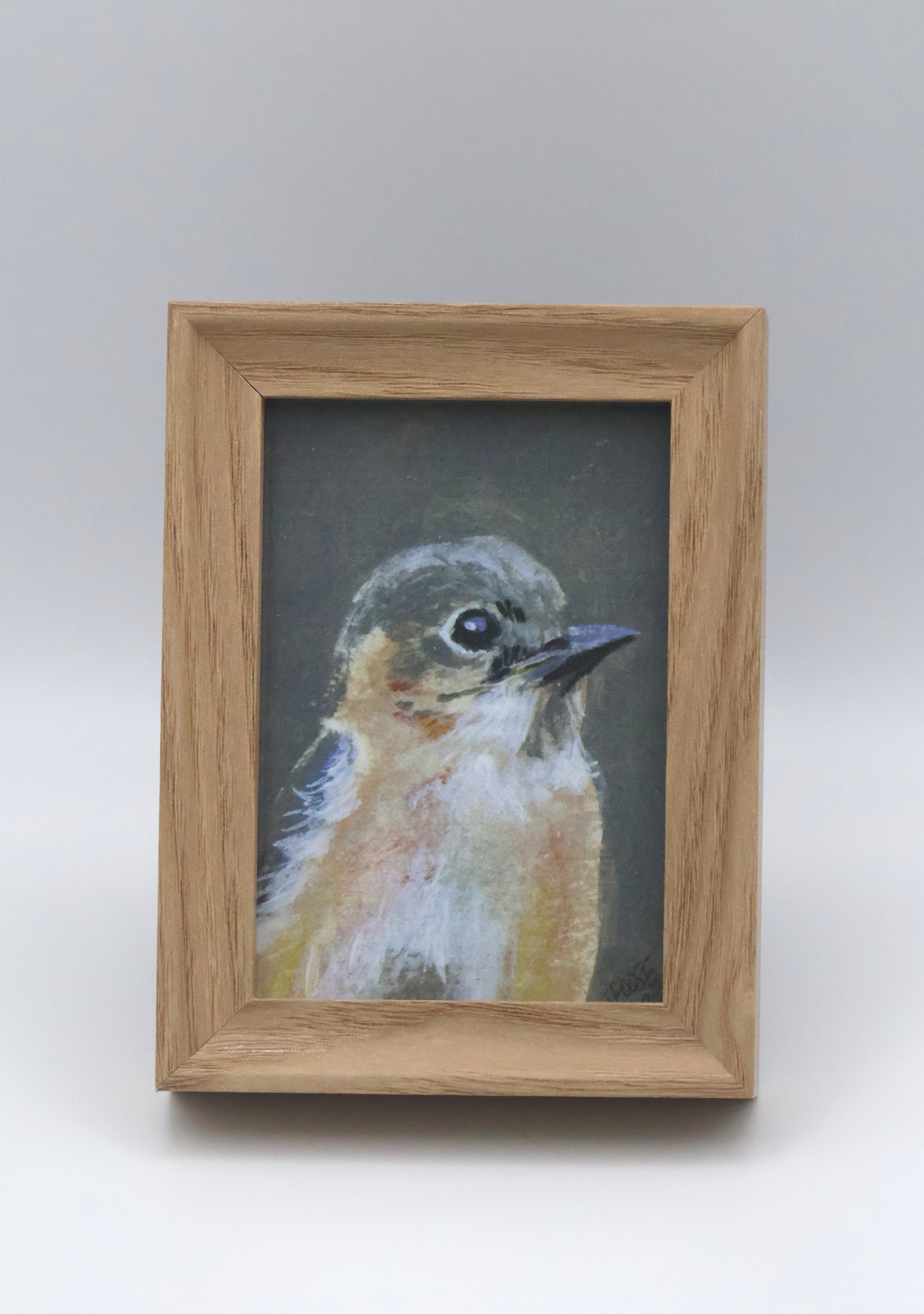 Female Bluebird Mini Print - Image 1