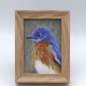 Male Bluebird Mini Print