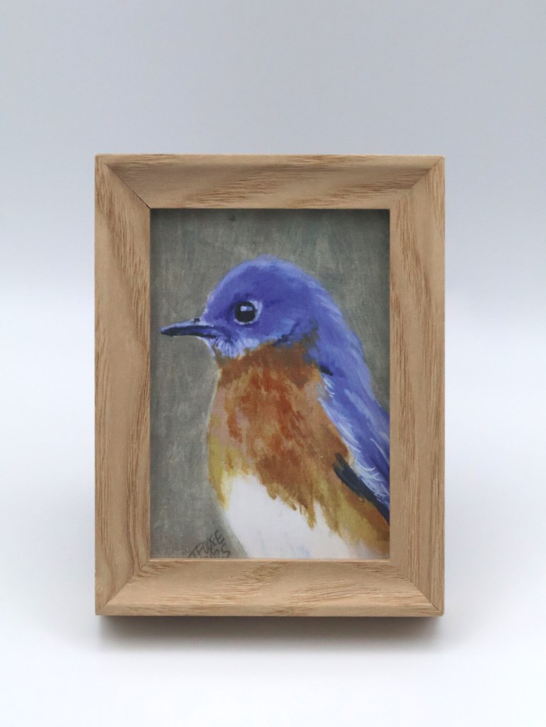 Male Bluebird Mini Print