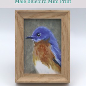 Female Bluebird Mini Print - Image 3