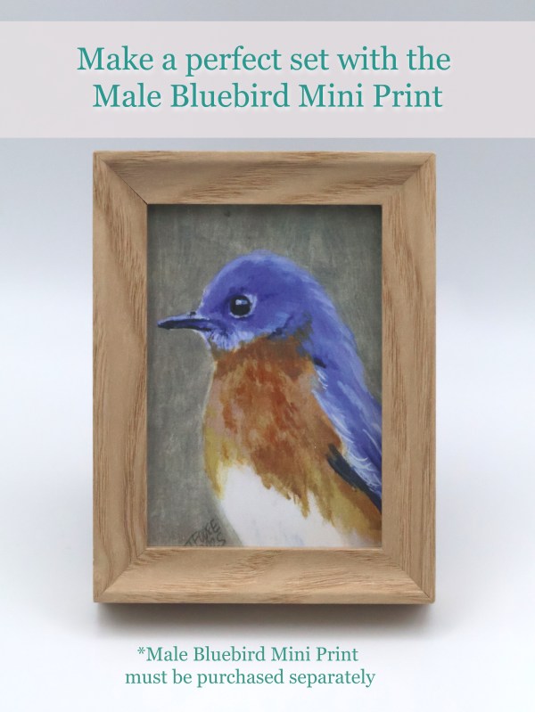 Female Bluebird Mini Print