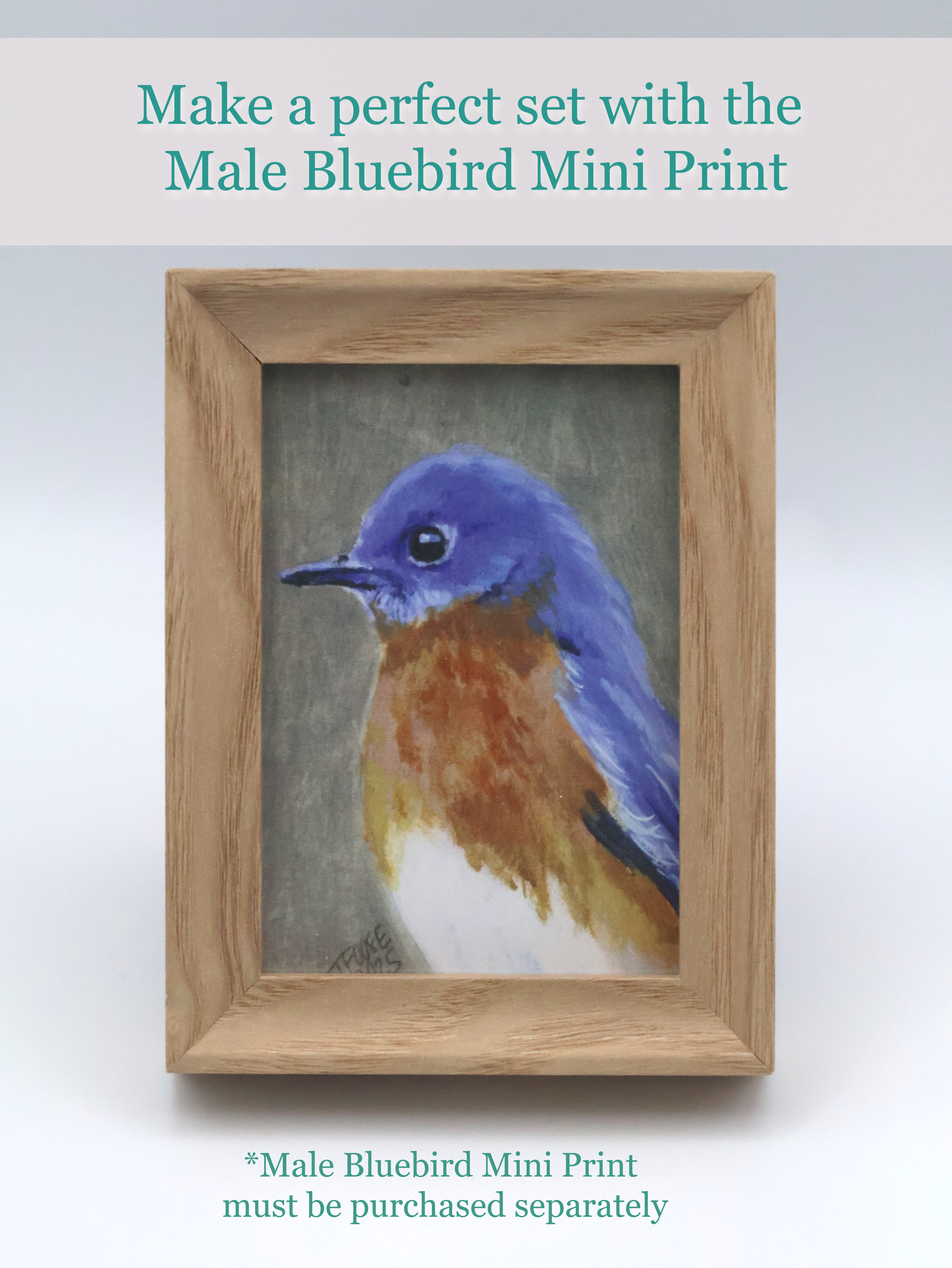 Female Bluebird Mini Print - Image 3