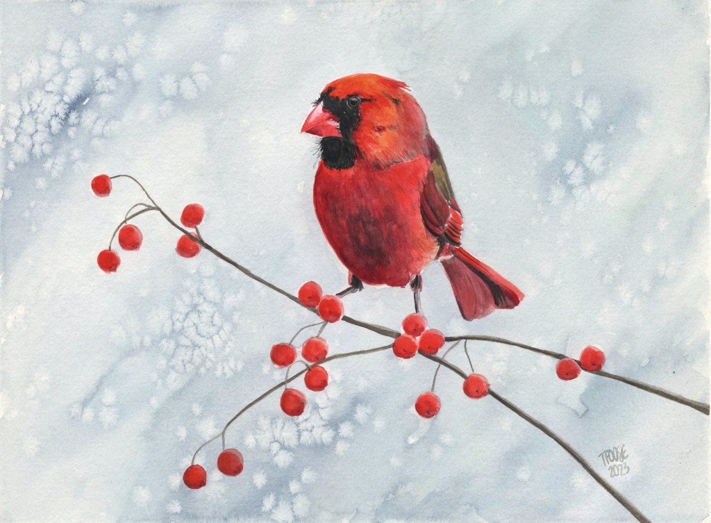 Cardinal and Berries