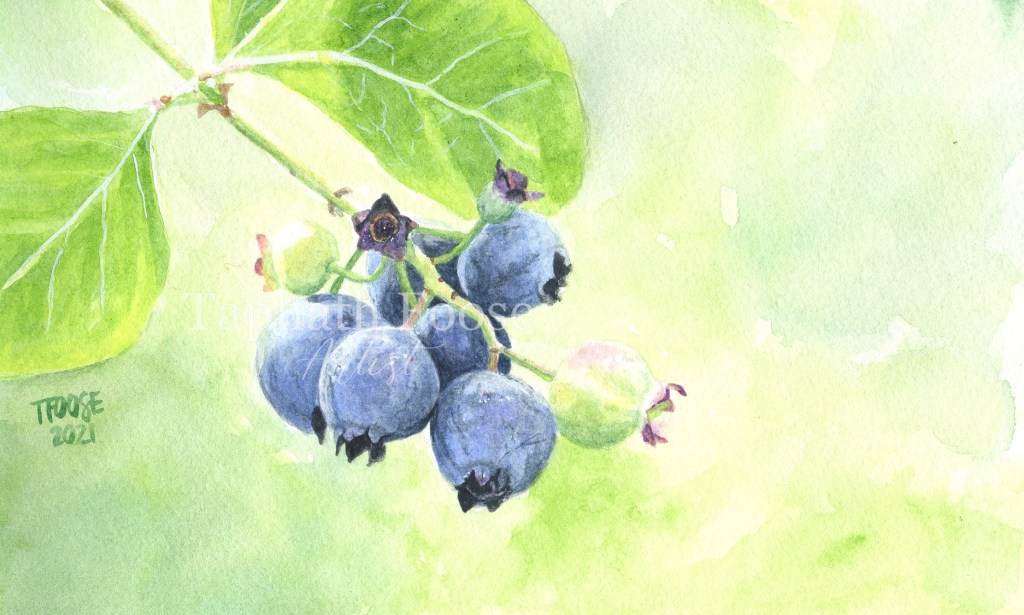 Cluster of Blueberries