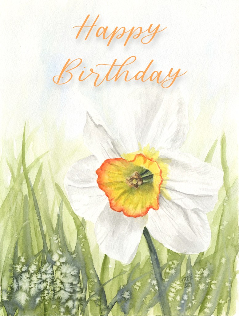 Single Daffodil Greeting Card