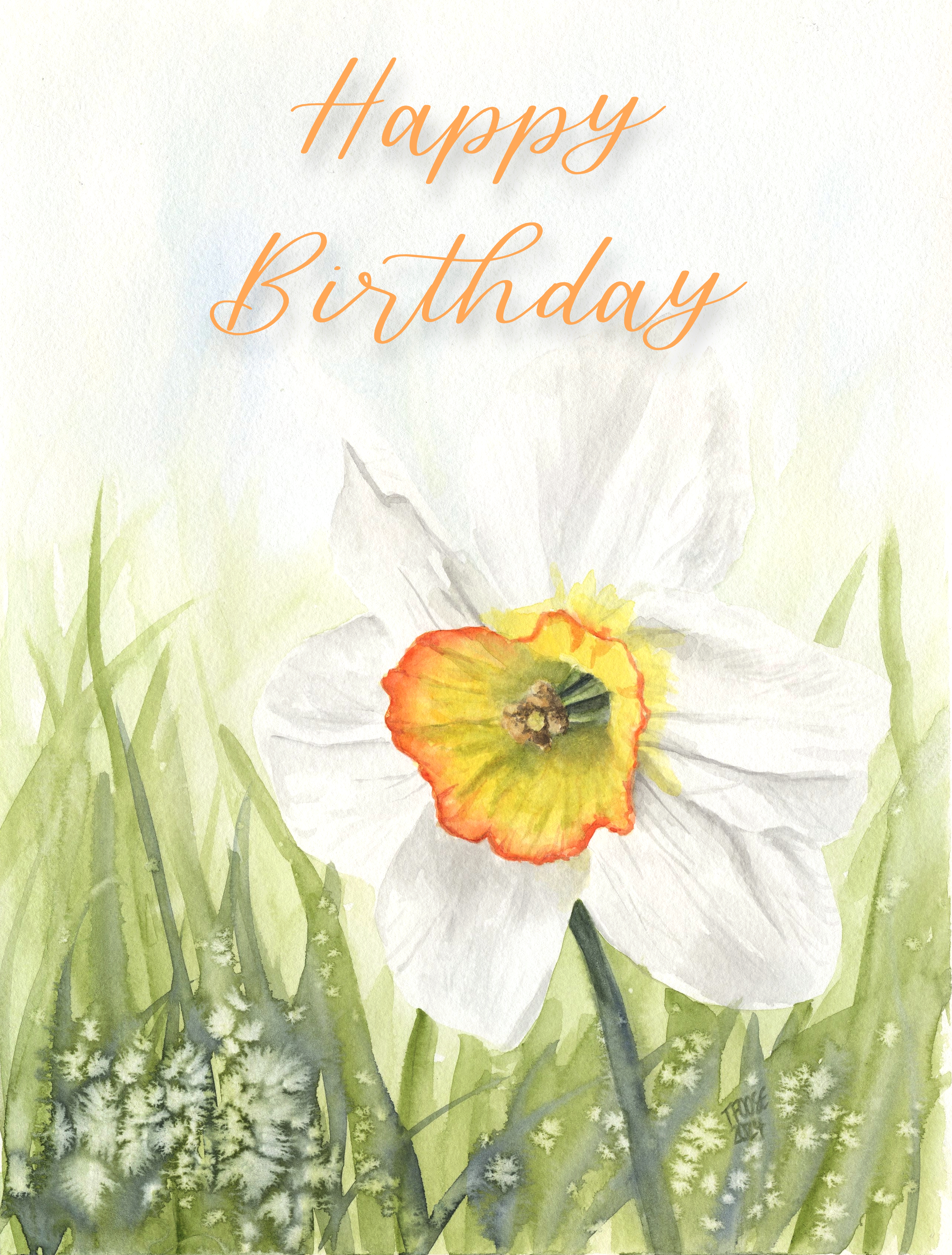 Single Daffodil Greeting Card - Image 4