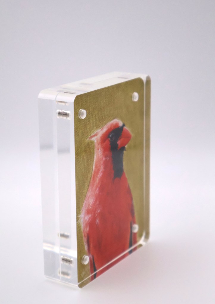 Cardinal in Gold Mini Print