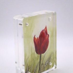 Red Tulip in Bloom Mini Print - Acrylic - Image 2