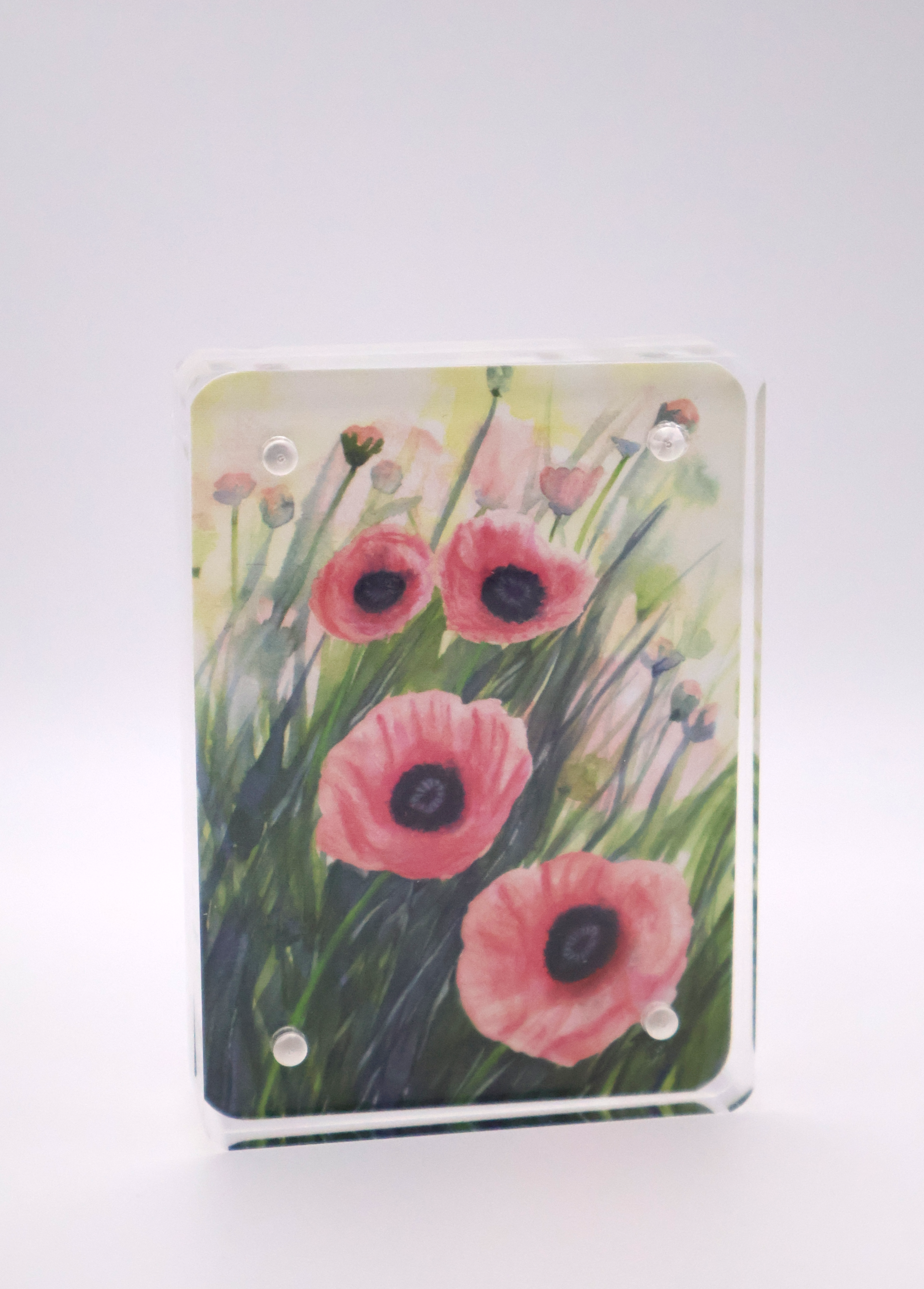 Exuberant Pink Poppies Mini Print - Acrylic