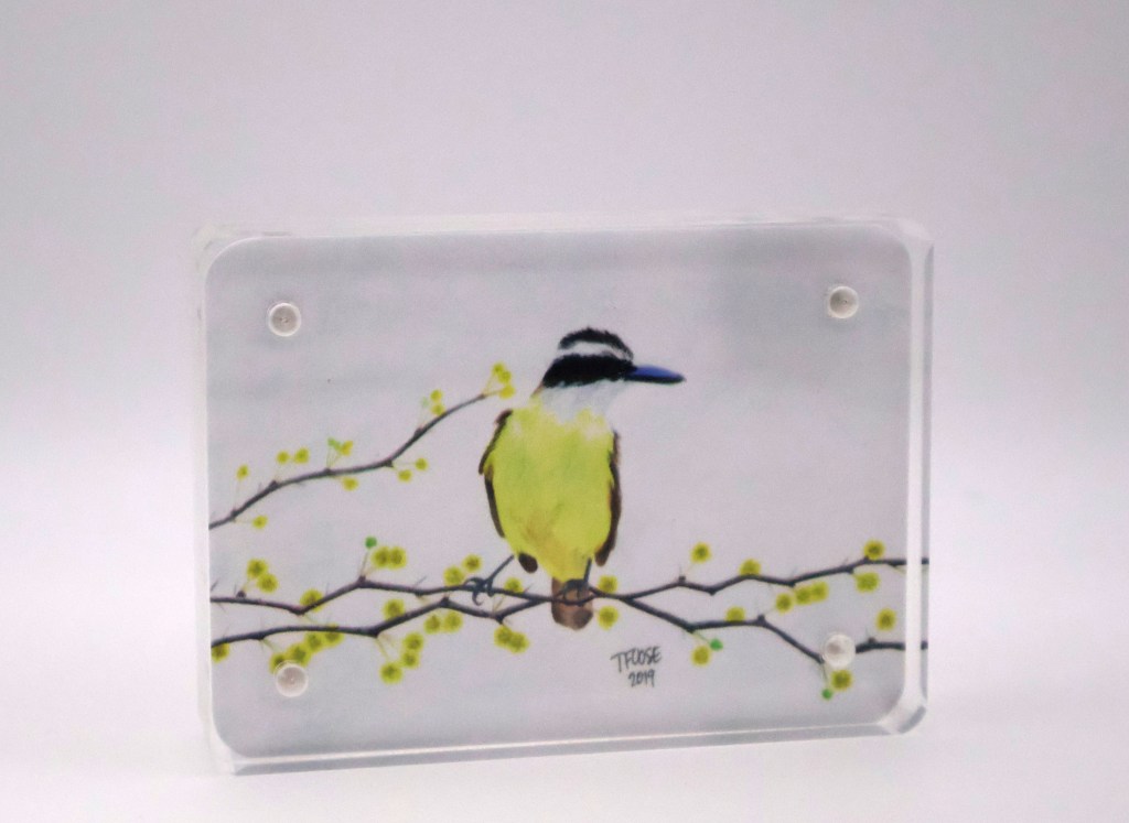 Great Kiskadee Mini Print - Acrylic