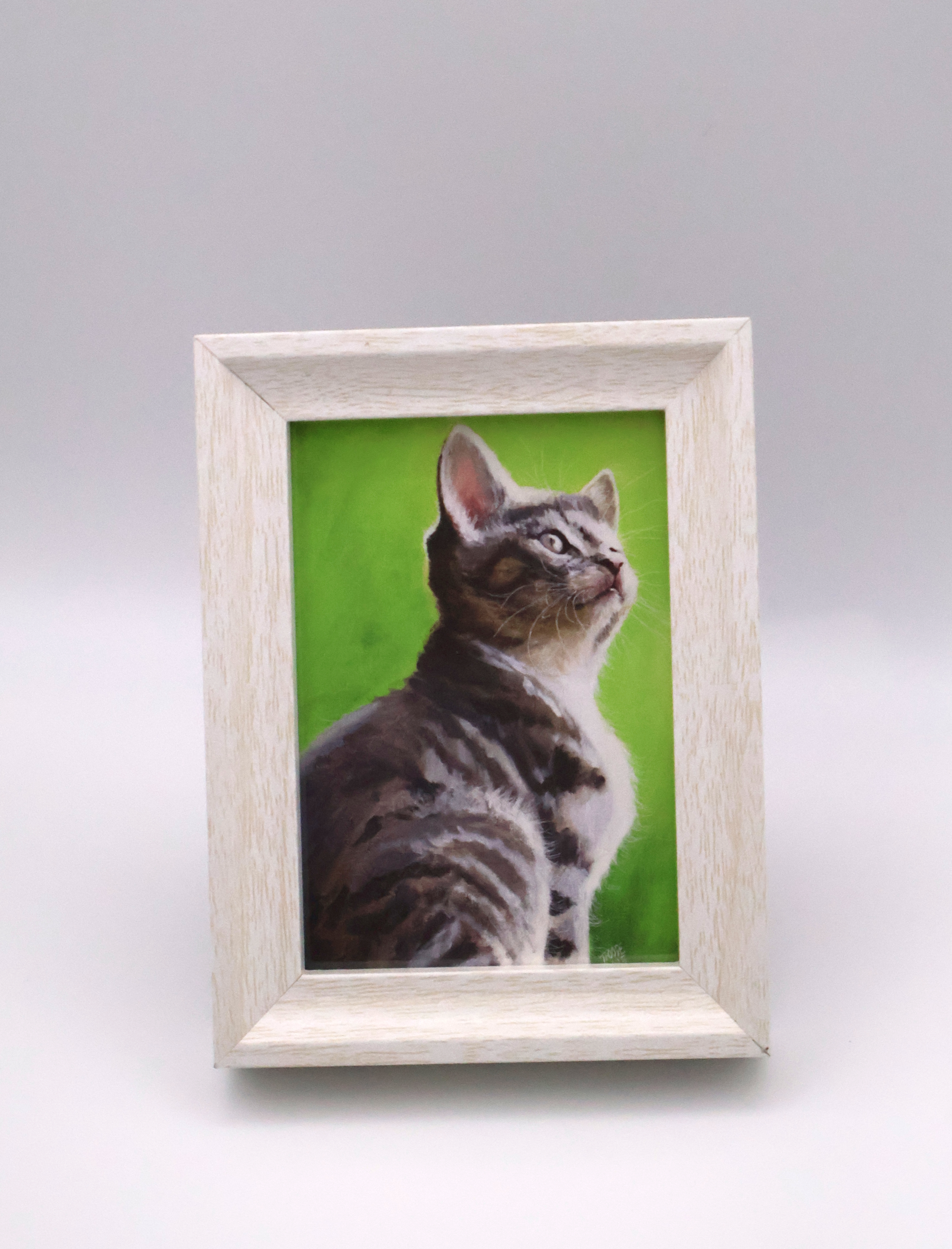 Kitten in the Green Light Mini Print - Image 1
