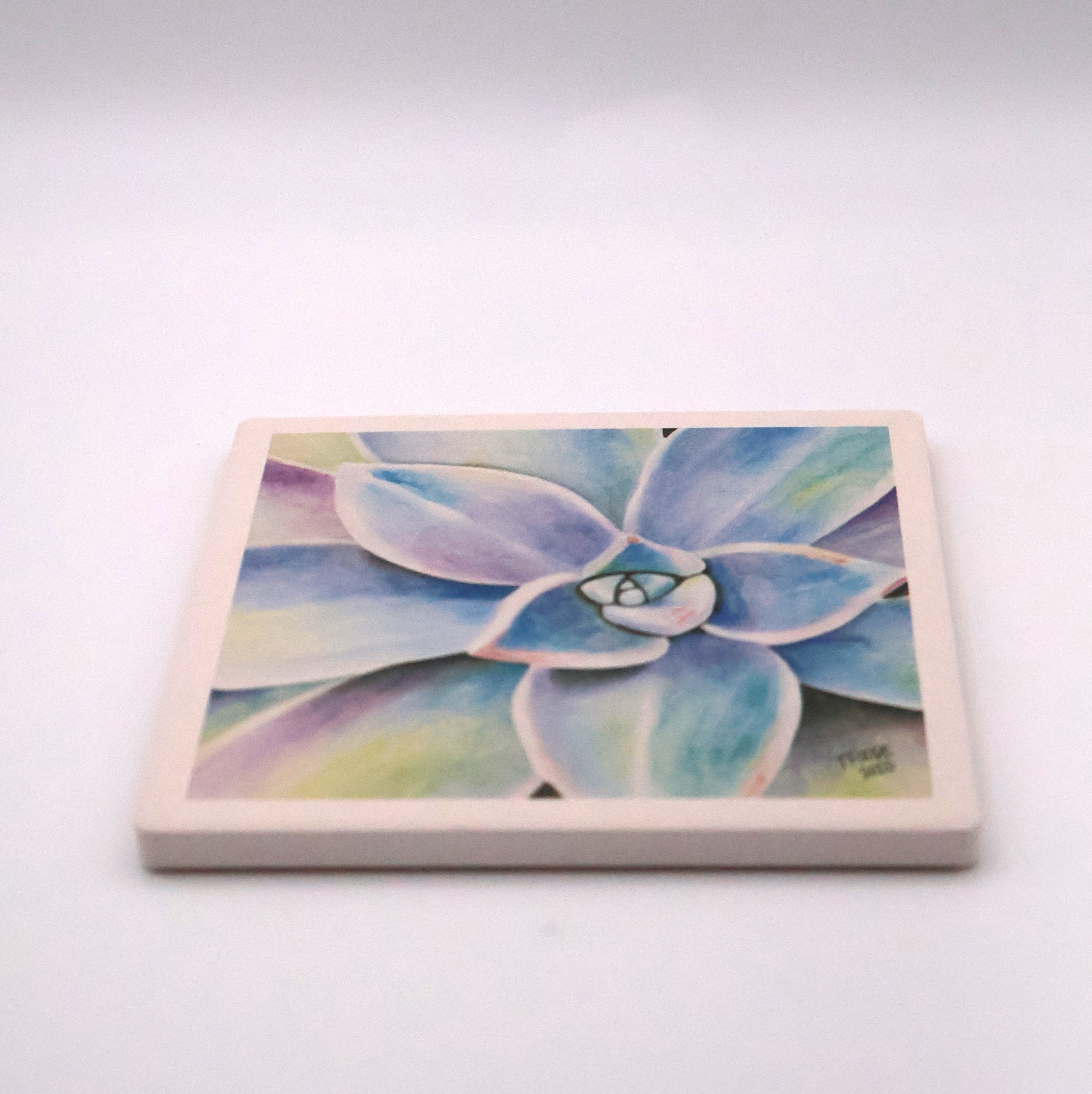 Graptoveria Succulent Coaster - Image 2