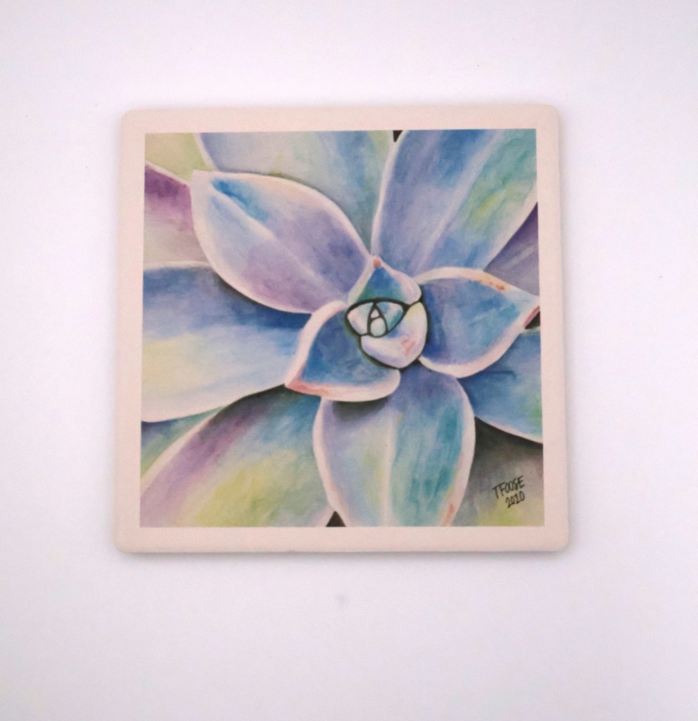 Graptoveria Succulent Coaster