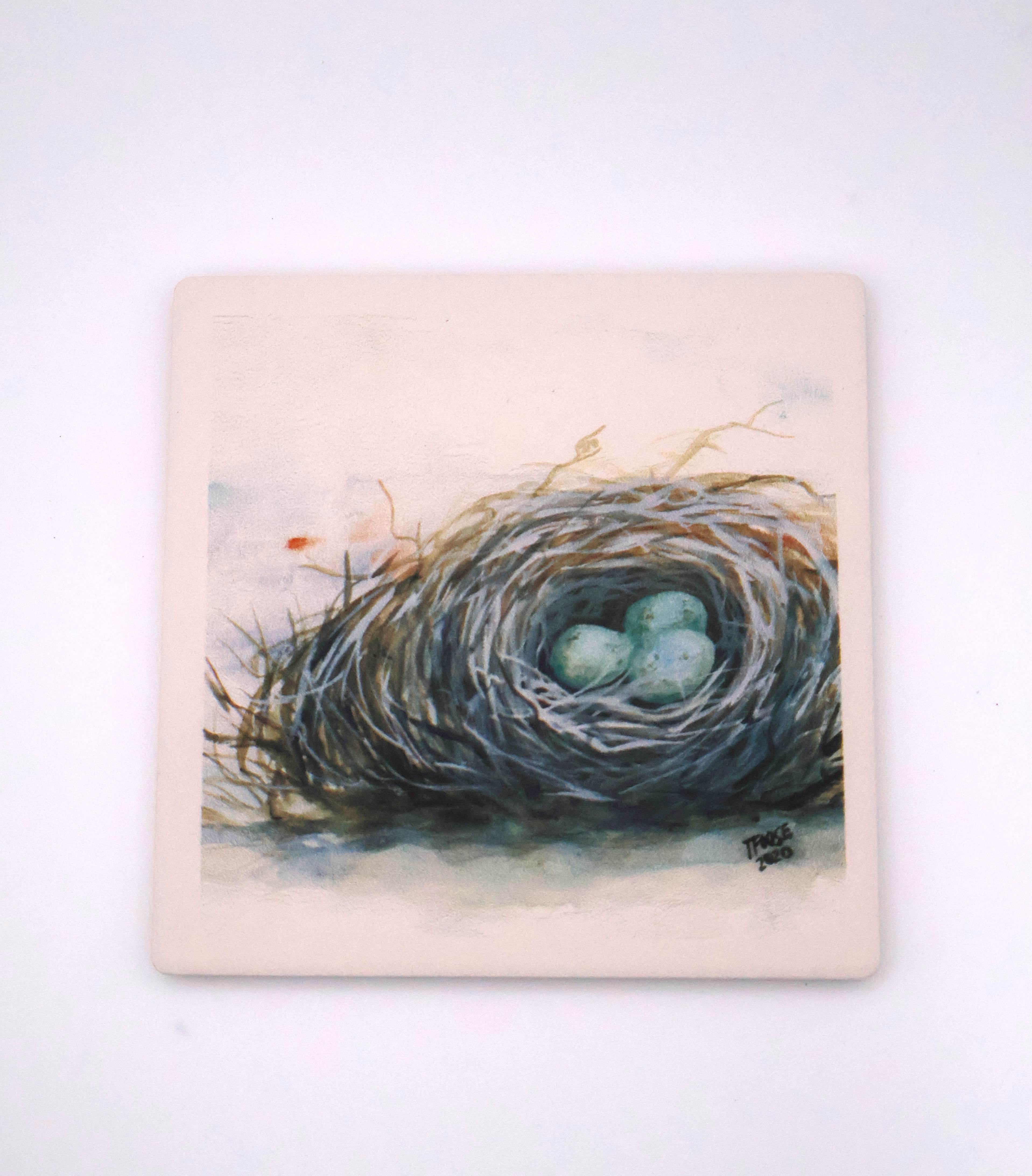 A Bird's Nest Coaster - Image 1