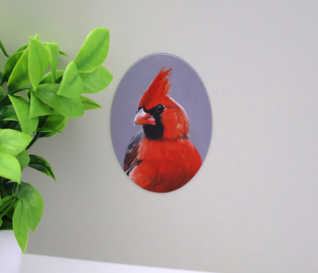 Studly Cardinal Magnet
