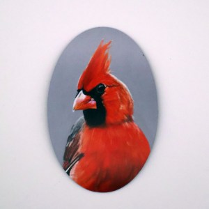 Studly Cardinal Magnet - Image 1