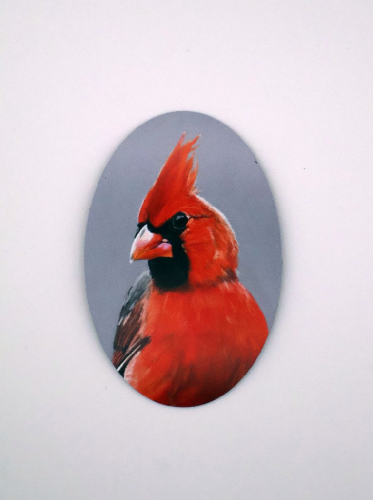 Studly Cardinal Magnet