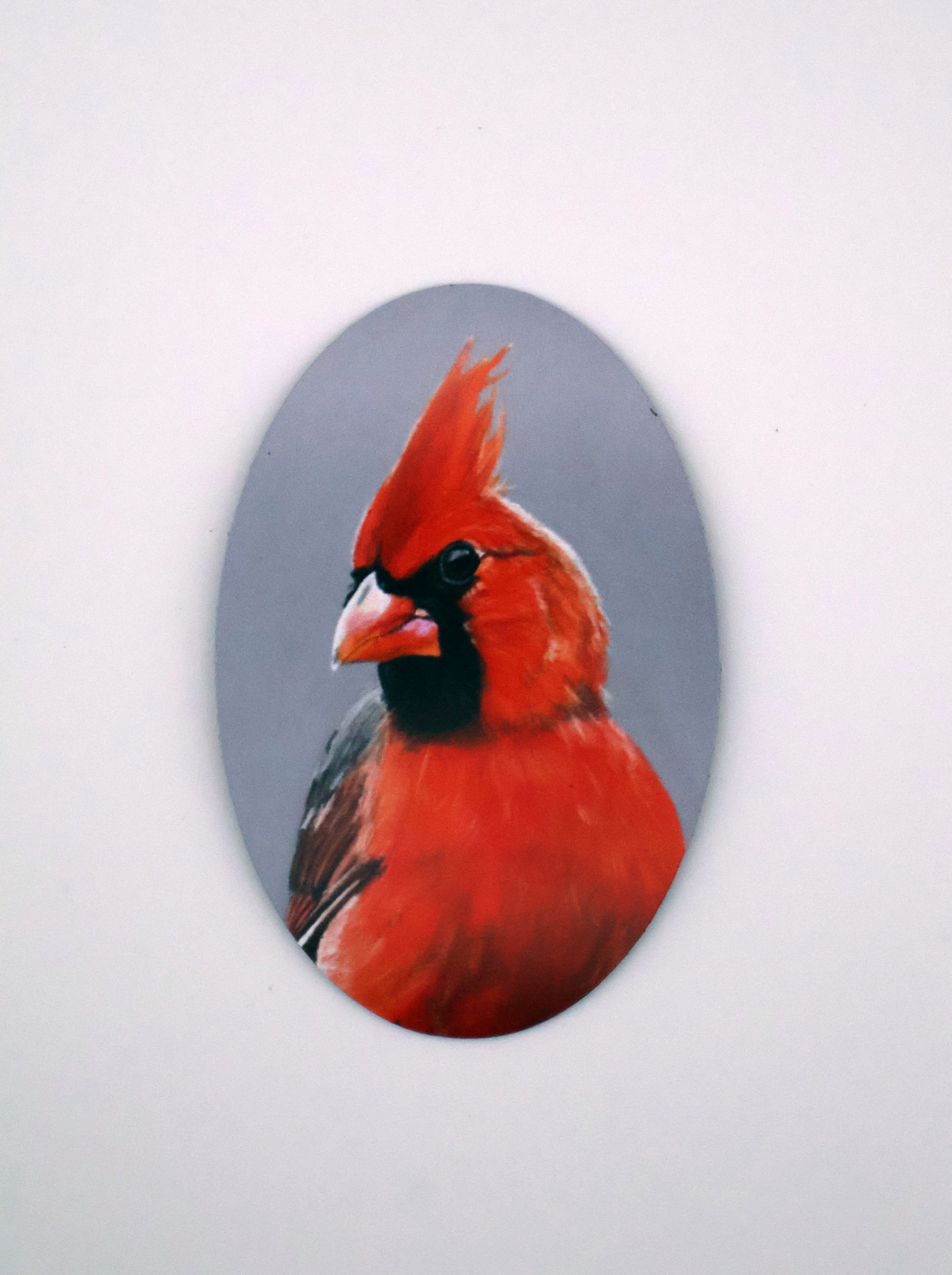 Studly Cardinal Magnet - Image 1