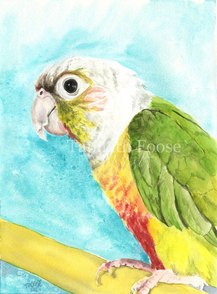 Jules the Conure