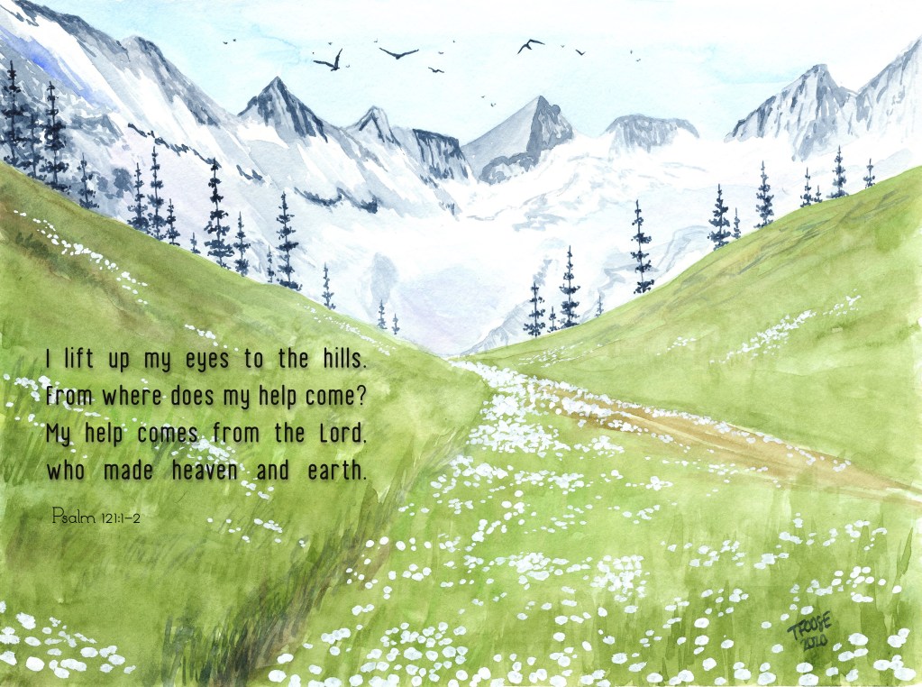Mountains and White Wildflowers Greeting Card