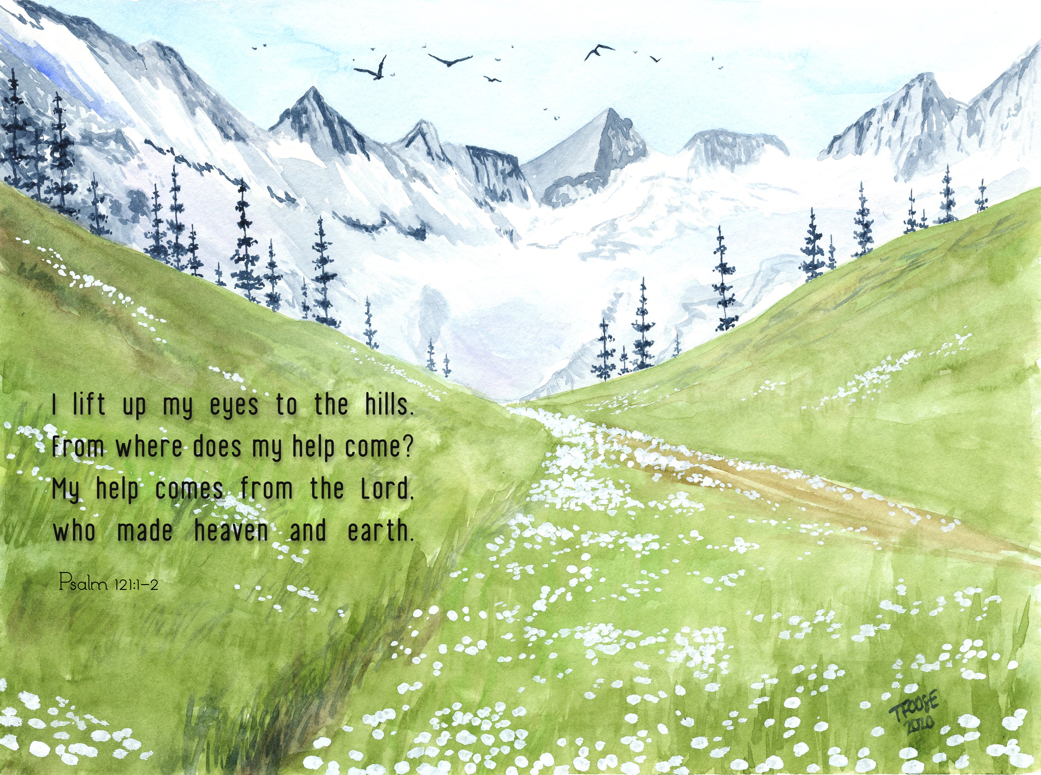 Mountains and White Wildflowers Greeting Card - Image 4