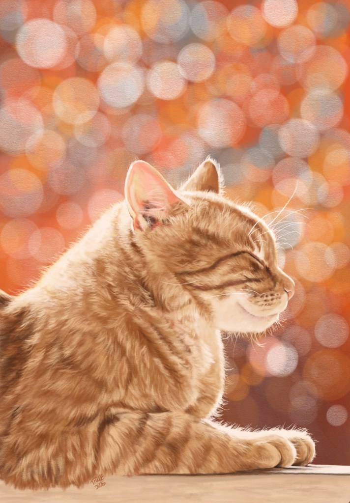 Orange Tabby