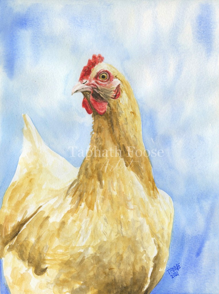 Buff Orpington Blue