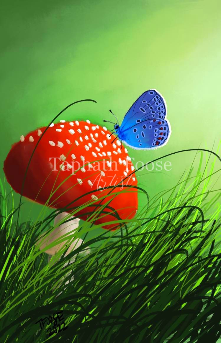 Enchanted Mushroom - Image 1
