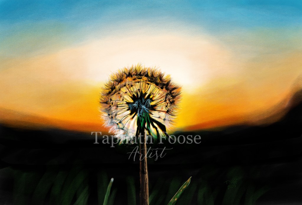 Dandelion at Sunset