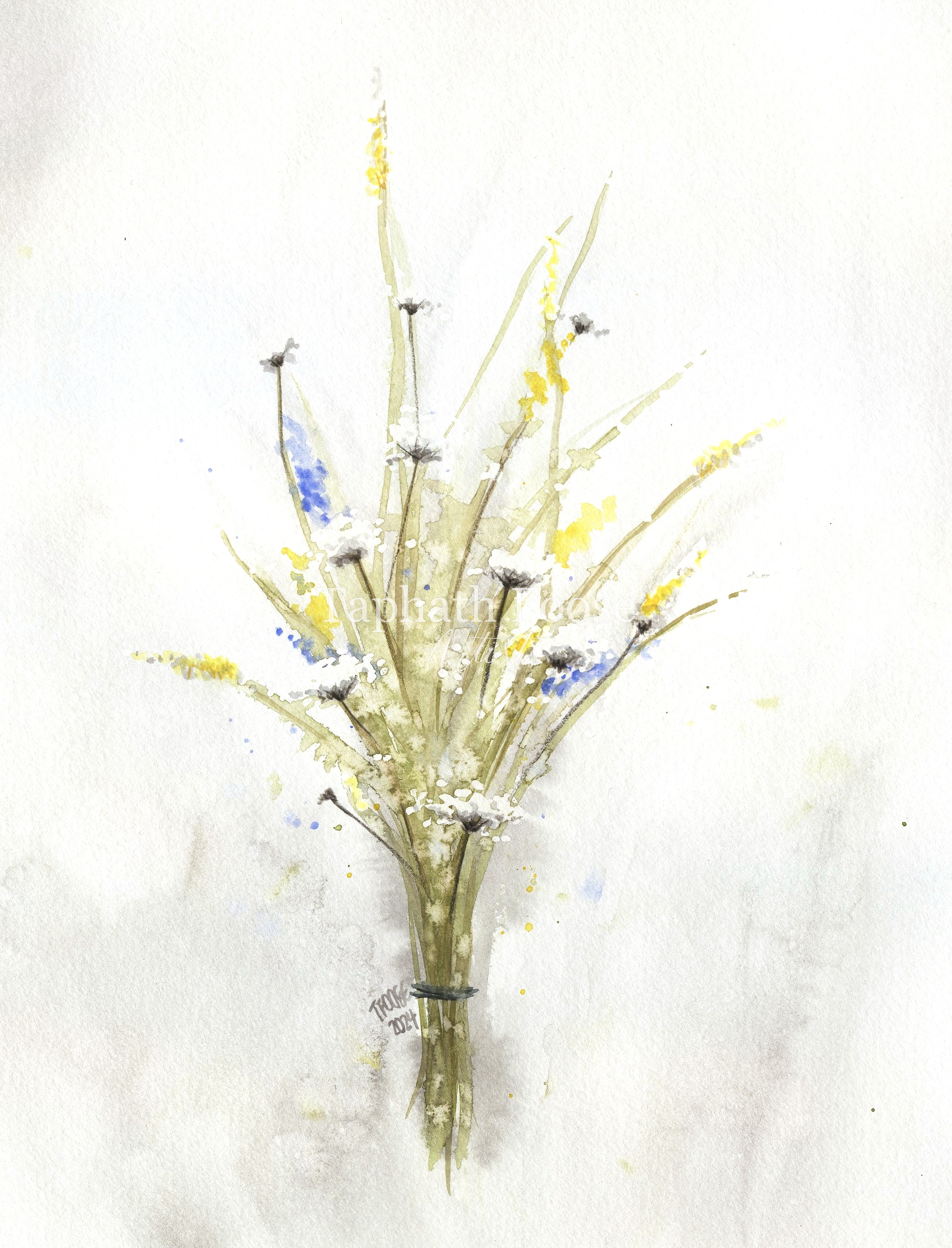 Equally Beautiful - Queen Anne's Lace - Image 1