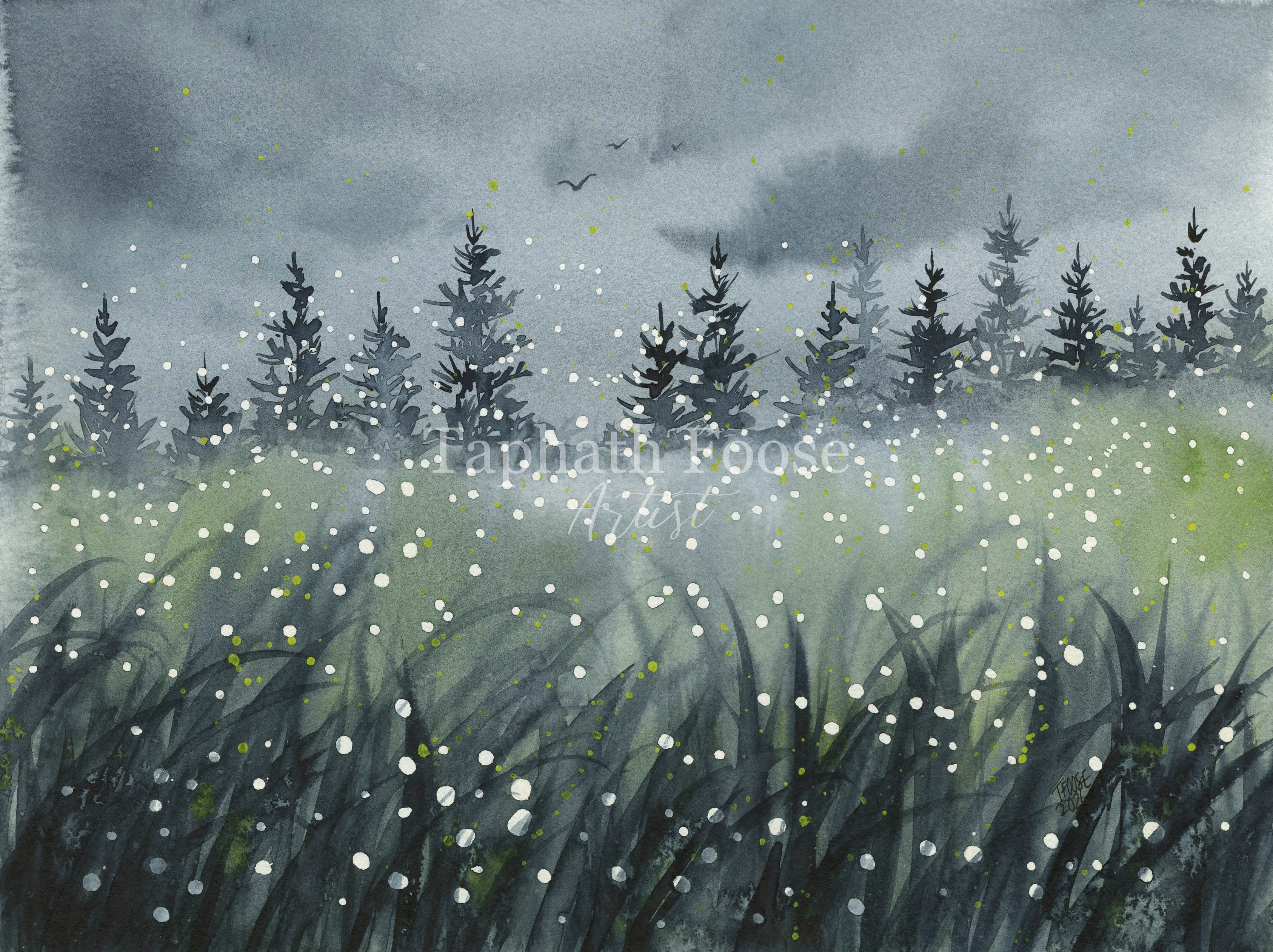 Firefly Meadow - Image 1
