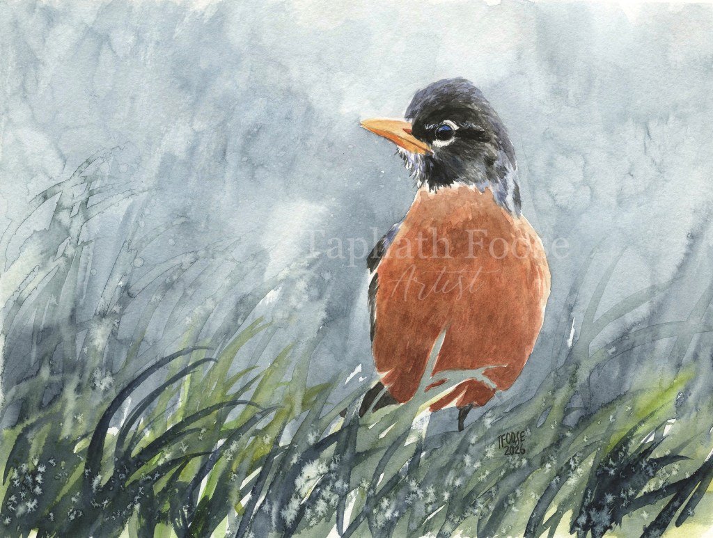 Rainy Robin