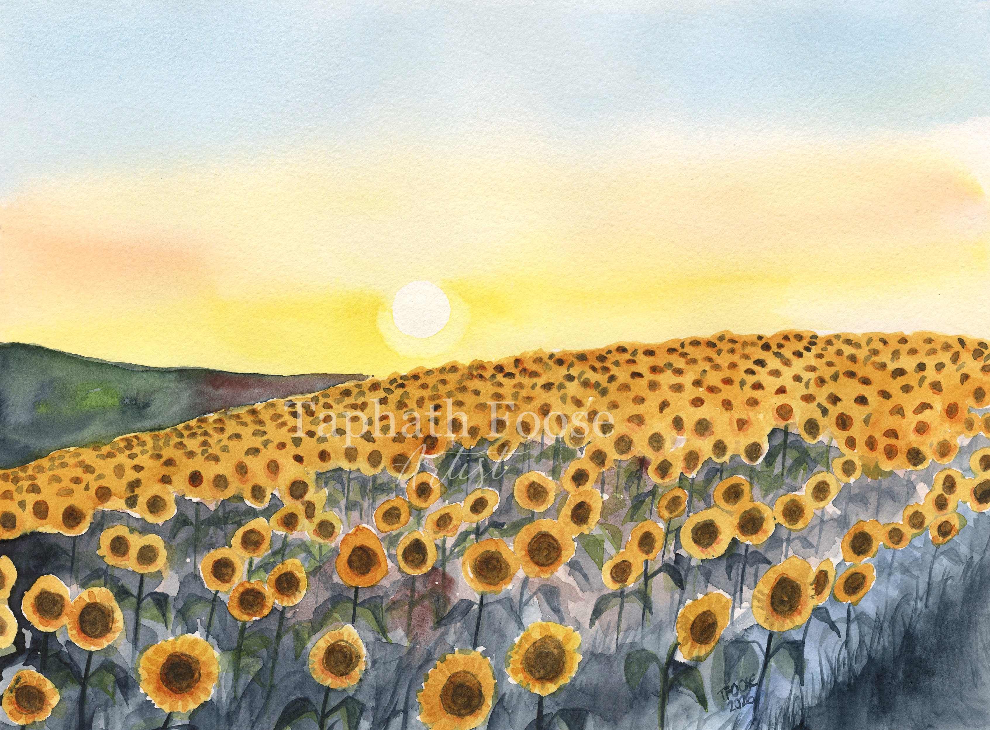 Sunflower Field at Sunset - Image 1