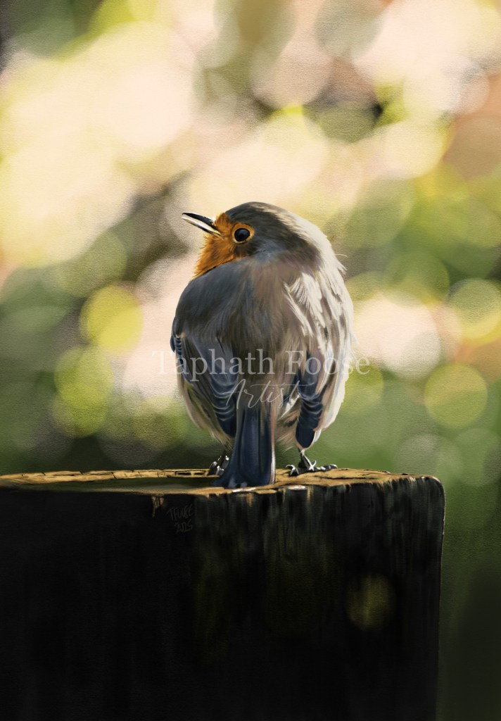 Sunlit European Robin