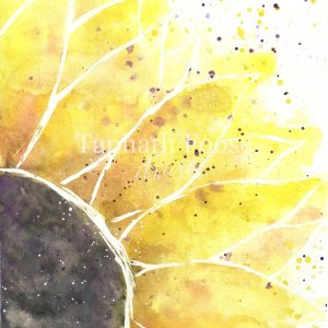 Sunflower Impression